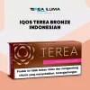 IQOS TEREA Bronze Indonesian carton with bronze-toned pack design for ILUMA sticks