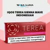 IQOS Terea Sienna Indonesian heatstick pack from the Indonesian TEREA edition