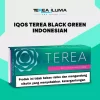 IQOS TEREA Black Green Indonesian pack showing the black and green carton branding